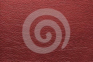 Glossy structure of genuine leather, natural red colored skin surface, leatharette texture