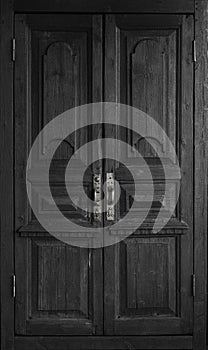 Glossy surface of geometric shaped frames of wooden door panels. Architectural details of Paris door of old building in