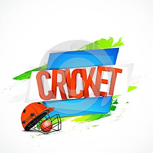 Glossy text for Cricket Sports concept.