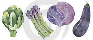 Glossy vegetable set Design elements isolated on white background. et Design elements isolated on white background.