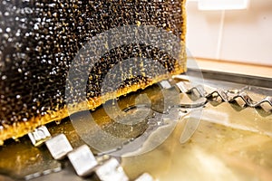 Glossy yellow golden honey comb reflection mirror sweet honey drips flow during harvest background with textspace