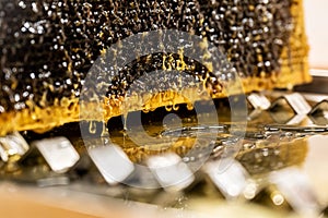 Glossy yellow golden honey comb reflection mirror sweet honey drips flow during harvest background with textspace