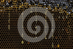 Glossy yellow golden honey comb sweet honeycomb drips flow during harvest background honeybee theme
