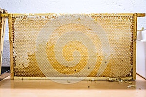 Glossy yellow golden honey comb sweet honeycomb drips flow during harvest background honeybee theme