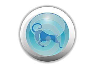 Glossy Zodiac Button Icon