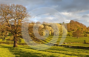 Gloucestershire Landscape