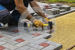 A gloved craftsman lays paving stones in layers. Brick paving slabs for professional use. Laying gray concrete paving slabs in the