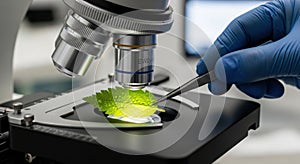 Close-up of a scientist examining a green leaf sample under a powerful microscope in a laboratory