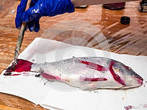 Gloved hand colors tail of raw Orata fish