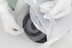 Gloved Hand Holding a Silicon Wafer in plastic holder box used in electronics for the fabrication of integrated circuits