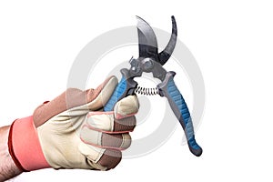 gloved hand holds a garden pruner.  on a white background photo