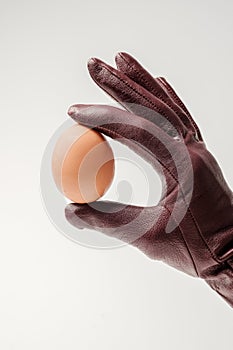 A gloved hand holds a single egg.