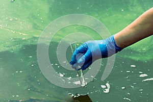 A gloved hand takes water into a test tube from a city reservoir. Urban waste water. Sampling from open water. Scientist