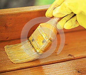 Gloved hand varnishing plank
