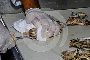 Chef Shucking Oysters