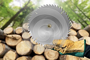 Gloved Hands Holding a Metal Circular Saw Blade - Tree Trunks and Forest on Background