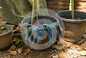 Gloves left unintentionally on a flower pot after gardening. Bad practice.