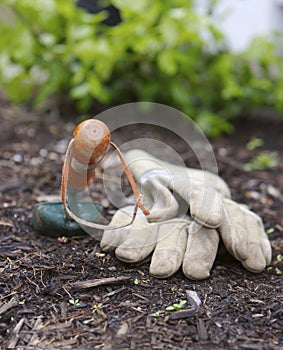 Gloves and Shovel