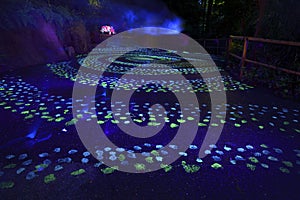 Glow-in-the-dark path in Singapore