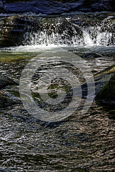 river in the rainforest