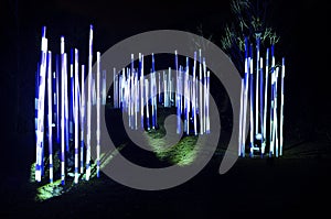 Glow Tube Illumination in Park