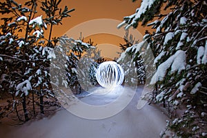 Glowing ball in a pine forest