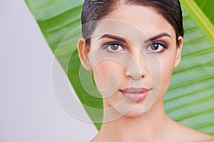 Glowing beauty. Studio portrait of a beautiful young woman posing in front of a leaf.