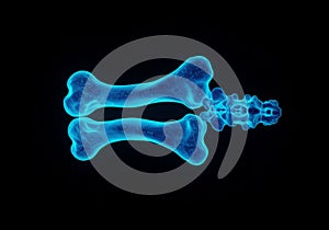 Glowing Blue 3D Render of Human Bone Structure