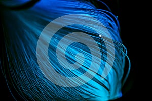 Glowing blue fiber optics threads texture
