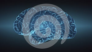 Glowing brain over graduated dark background