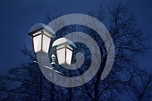 Glowing burning snow covered lantern on iron pillar on black trees without foliage and blue night or evening dark sky background