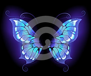 Glowing butterfly wings