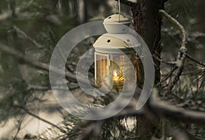 Glowing candle in lantern hanging on fir tree branch in winter forest. Christmas scene