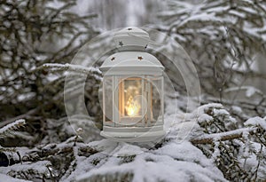 Glowing candle in lantern hanging on fir tree branch in winter forest. Christmas scene