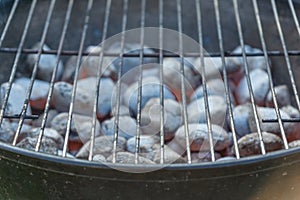 Charcoal briquets in a barbecue