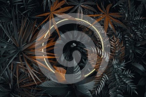 glowing circle shape over tropical plants. Flat lay of minimal nature style concept