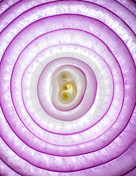 Glowing Concentric Layers of a Sliced Red Onion