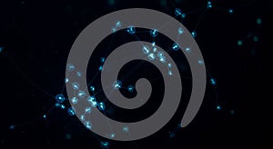 Glowing cyan nodes form a complex data network