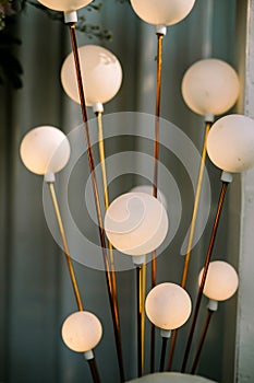 Glowing decorative lights shaped like spherical plants