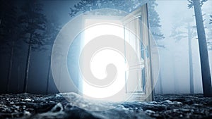 Glowing door in fog night forest. Light portal. Mistic and magic concept. 3d rendering.