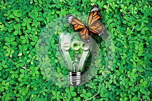 Glowing eco text in light bulb being on green grass background and monarch butterfly , concept idea, illustration