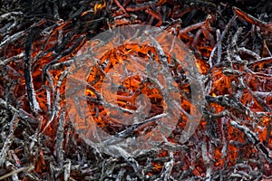 Glowing embers and ashes in a fire