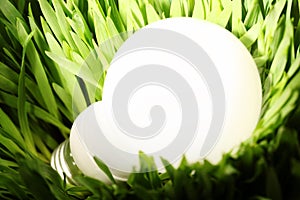 Glowing energy saving lightbulb on green grass