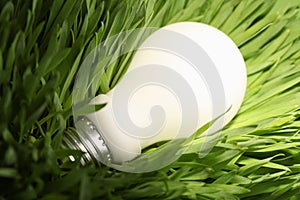 Glowing energy saving lightbulb on green grass