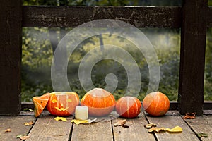 Glowing evil pumpkin in a row with pumpkins on a wooden old floor in the autumn Park , the composition for Halloween