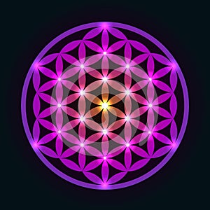 Glowing Geometrical Flower of Life photo