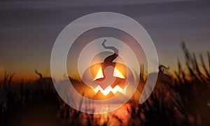 Glowing Hallowwen Pumpkin In A Field At Night