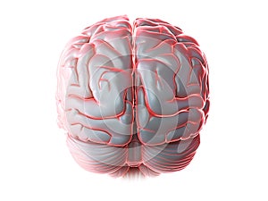 A glowing human brain