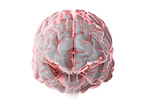 A glowing human brain