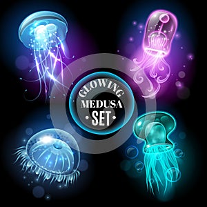 Glowing Jellyfish Medusa Set poster